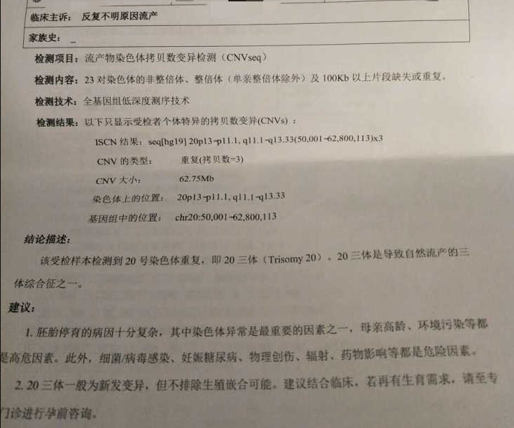 胚胎染色体异常导致胎停